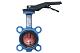 Tecofi Затвор диск чугун VPI4448 Ду50 Ру16 EP VPI4448-02EP0050